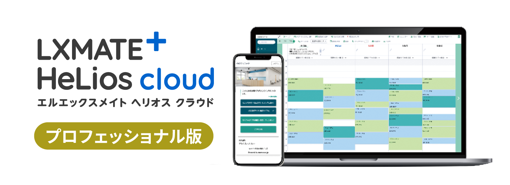 プロフェッショナル版